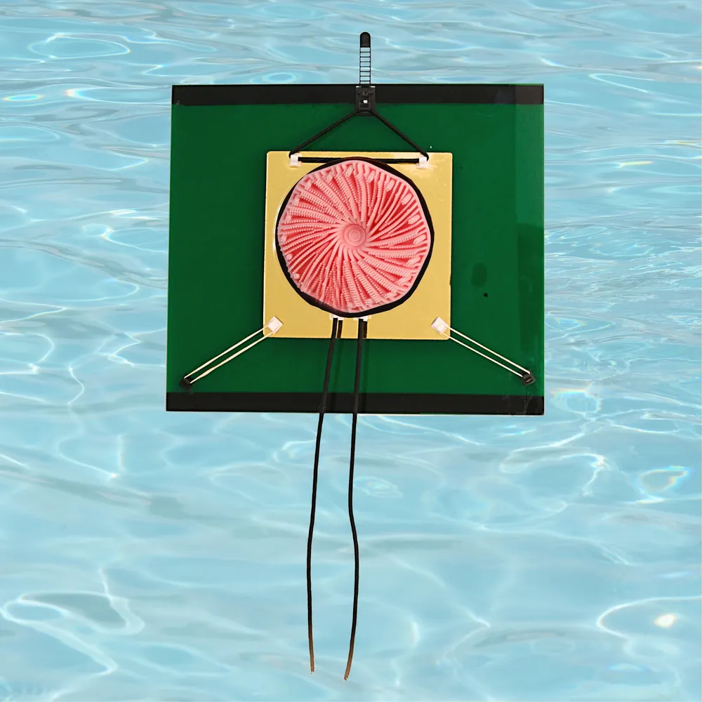 blitovot.co.il בלי טובות - מכשירים לסיבון הגב קפיצי 5- -320שח